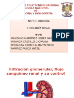 Fisiologia RENAL