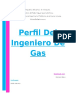 El Ingeniero de Gas Posee Habilidades