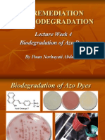 Wk4-Biodegradation of Azo Dyes