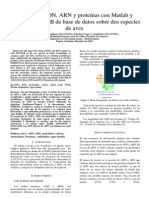 Informe Final Bioinformatica Alineación de Secuencias