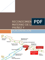 Reconocimiento Materno de La Preñez y Placentación