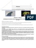 Psitacosis - Características de La Enfermedad - Algoritmo de Trabajo