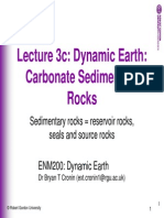 Slides 3c Carbonate Rocks 2010