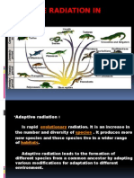 Adaptive Radiation in Living Reptiles