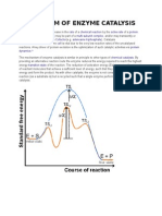 Mechanism of Enzyme Catalysis Madhu