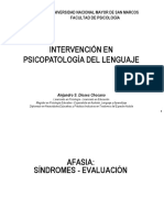 Afasia, Síndromes, Evaluación