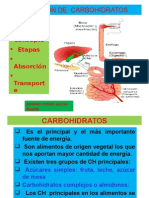 Carbohidratos