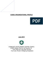 CODEC Organizational Profile 