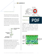 Apostila Histologia Vegetal I