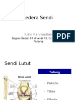 Kuliah Cedera Sendi