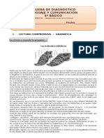 Pruebas de Diagnostico 5º Básico