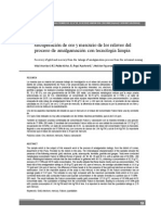 Recuperación de Oro y Mercurio de Los Relaves Del Proceso