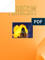 Flaresim PDF