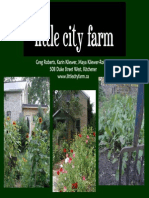 Little City Farm 20pages