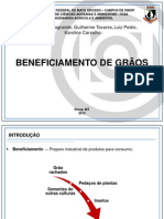 Beneficiamento de Grãos (EAA)