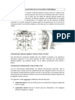 Articulaciones de La Columna Vertebral, Torácica