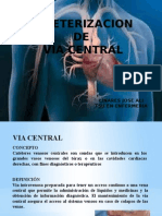 Presentacion Via Central Principal