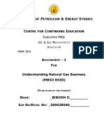 Assignment 1-Understanding Natural Gas Business