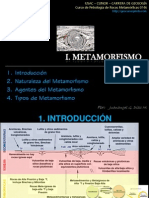 1 +metamorfismo