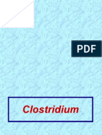 Lecture PP17&18 Clostridium