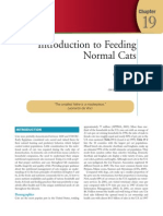 Small Animal Clinical Nutrition