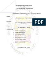 Desarrollo Del Inoculo y Cultivo Celular Por Lotes