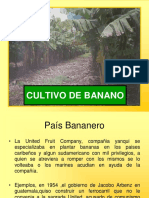 El Cultivo de Banano en Guatemala 2009 66 P PDF