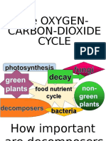 Oxygen-Carbon Dioxide Cycle