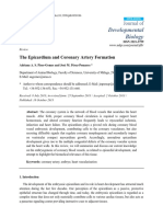 The Epicardium and Coronary Artery Formation