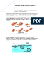 Las Funciones Vitales de Las Células