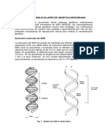 Genetica Microbiana