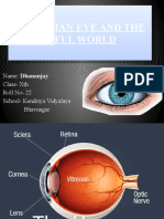 Human Eye