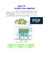 Biologia - Aula 15 - Transpiração Nos Vegetais