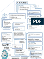 Mapa Conceptual Nucleo