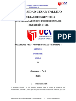 Informe de Practica Pre Profesionales 1