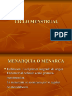 Ciclo Menstrual