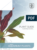 Catalog Plante Tropica