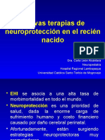 Uci 2. Neuroprotección en El Recien Nacido