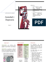 Ansiedad y Depresión Triptico