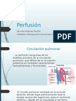 Perfusión