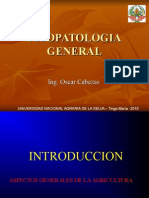 Introducción A La Fitopatologia