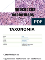 Cryptococcus Neoformans