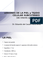 Lesiones de La Piel y Tejido Celular Subcutã-Neo