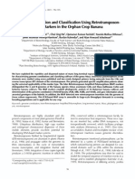 Genome Constitution and Classification Using Retrotransposon-Based Markers in The Orphan Crop Banana