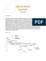 Skeletal Muscle Lab Report