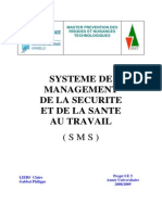 Cours Système de Management de La Santé Et de La Sécurité Au Travail - Master PRNT