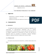 III Determinacion de Madurez Fisiologica y de Consumo