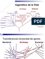 Biologia Celular Power Point