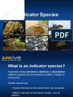 14-16yrs - Indicator Species - Classroom Presentation