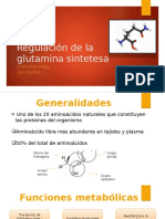 Glutamina-Sintetasa Regulación